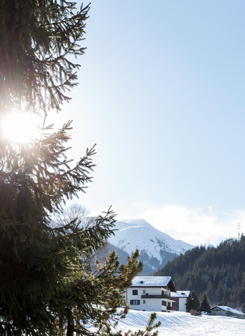 View from Chalet Maldeghem front balcony - snowy tree view