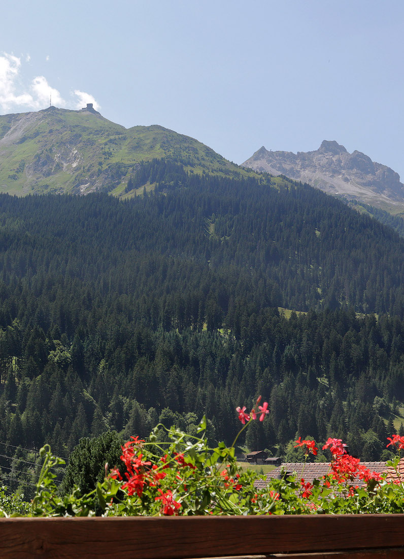 The mountains in Klosters in the summer surrounded by flowers